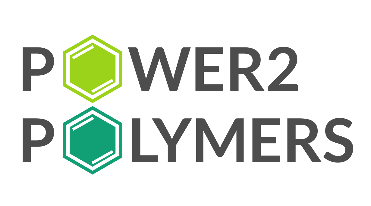 P2P Logo 2024