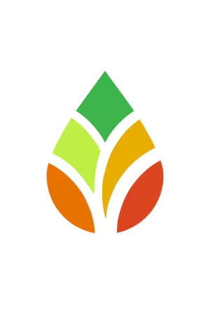 Logo LipiTune 1 scaled